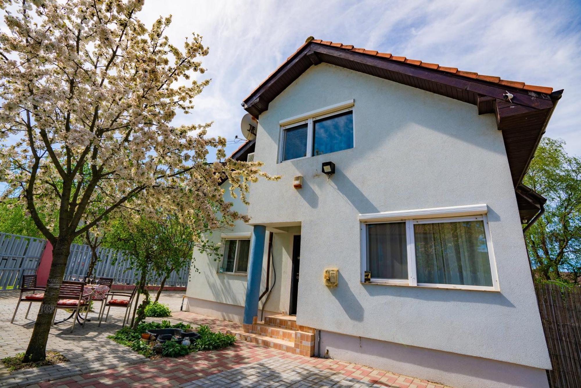 Pitstop Apartments Dumbravita (Timis) Exterior foto