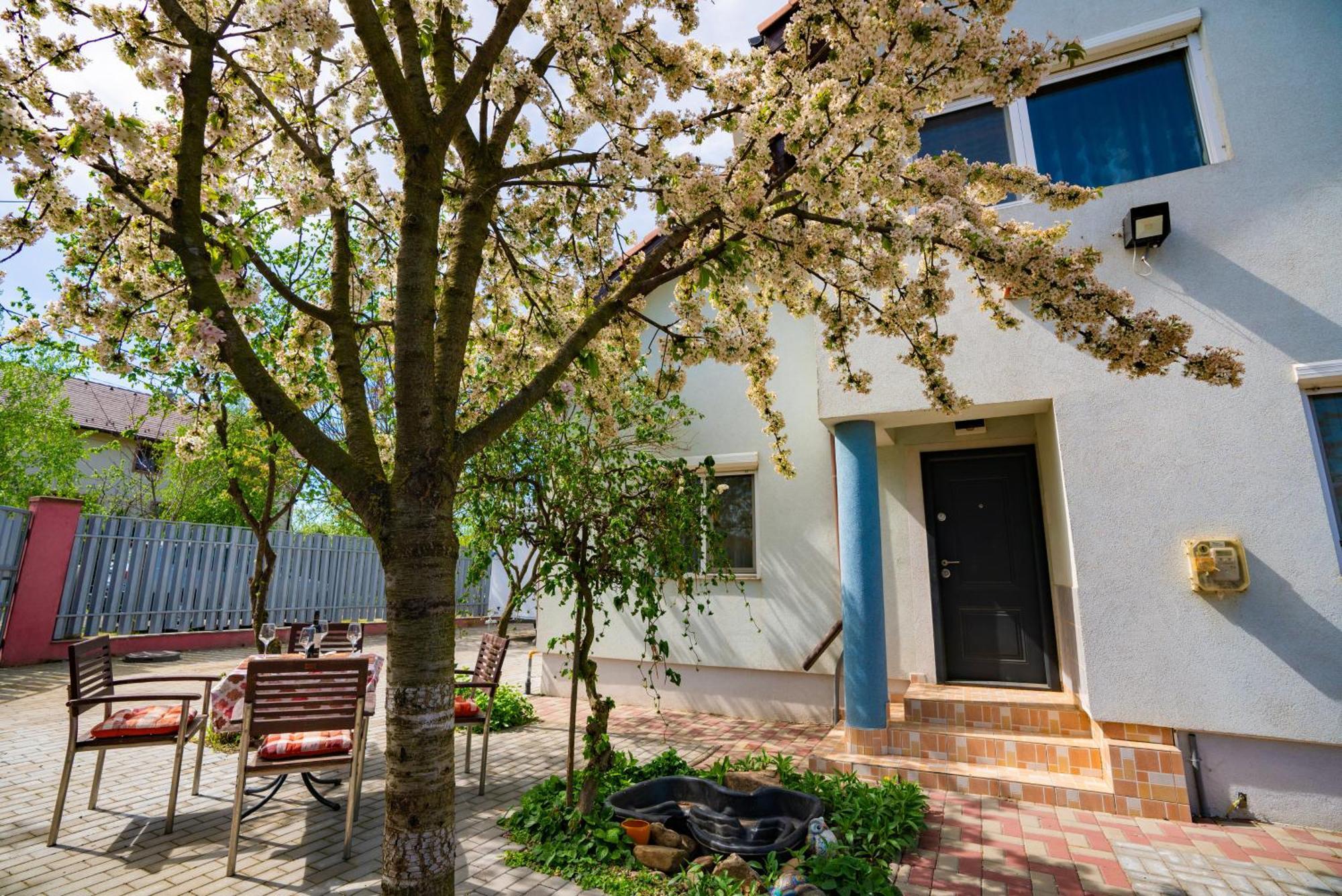 Pitstop Apartments Dumbravita (Timis) Exterior foto
