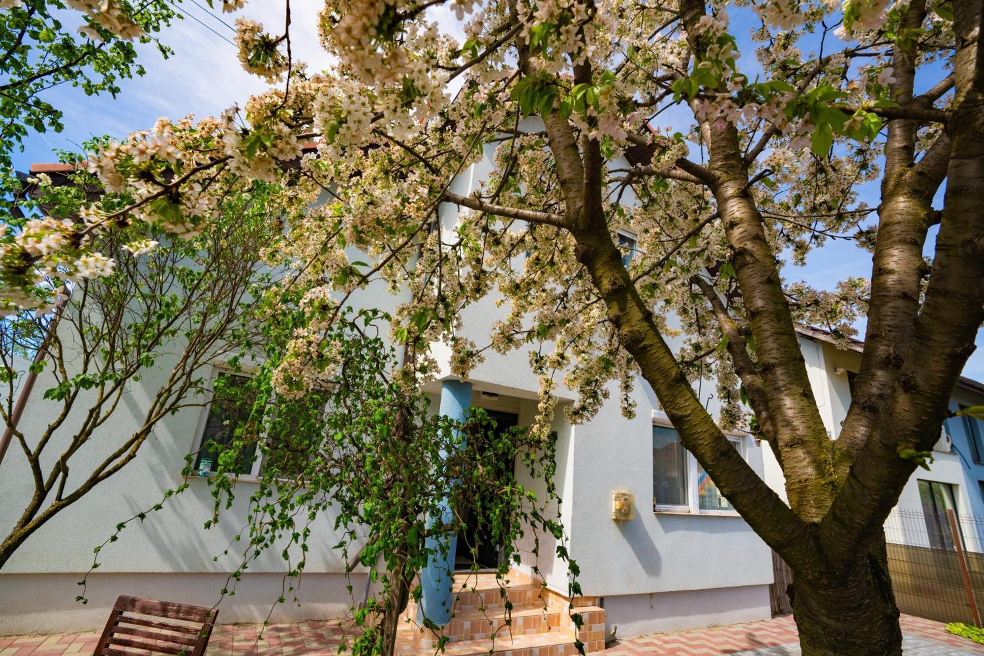 Pitstop Apartments Dumbravita (Timis) Exterior foto