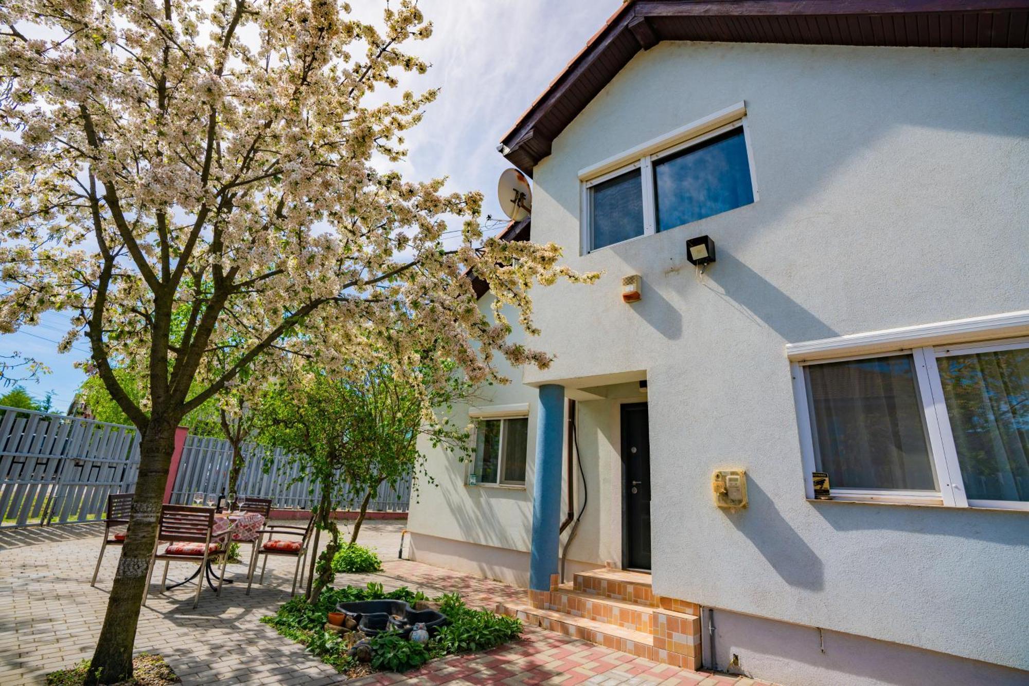 Pitstop Apartments Dumbravita (Timis) Exterior foto